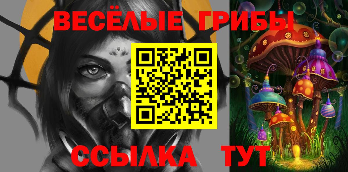 Псилоцибиновые грибы GOLDEN TEACHER Армавир